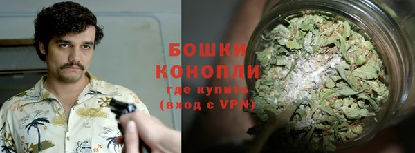спайс Нягань