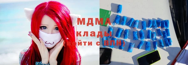 сатива Няндома