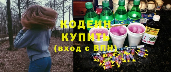 сатива Няндома