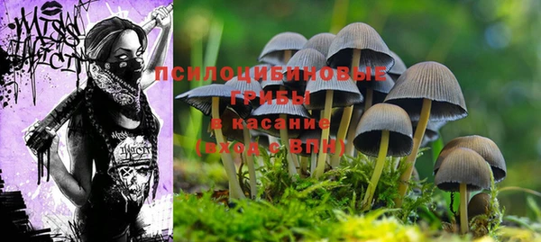 сатива Няндома