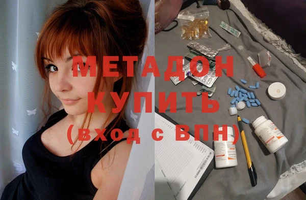 сатива Няндома
