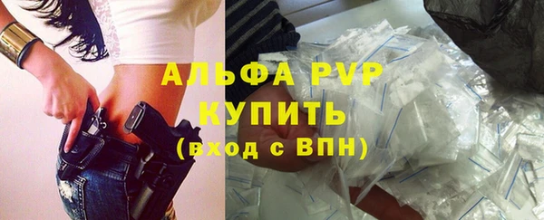 твердый Новодвинск