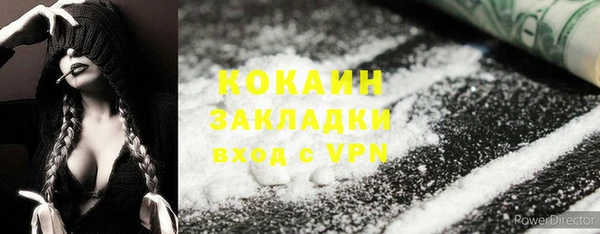 сатива Няндома