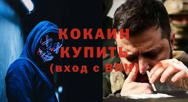 сатива Няндома