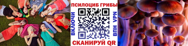 Галлюциногенные грибы Psilocybe  закладка  Калтан 